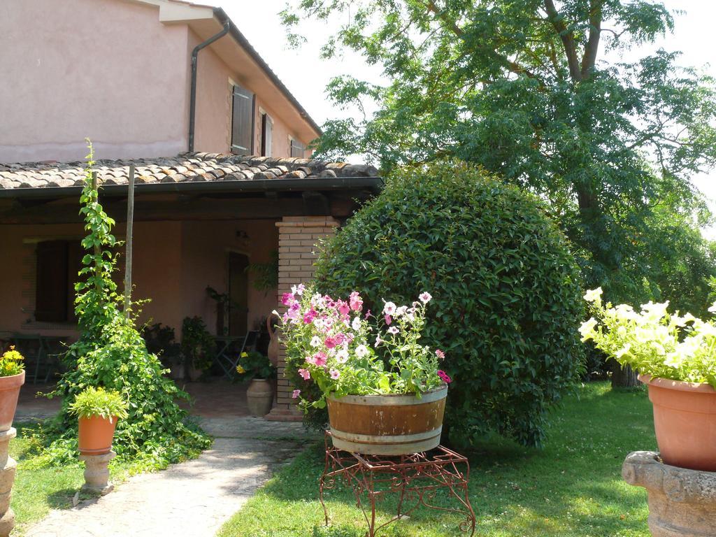 Agriturismo Da Lorena Marsiliana Exterior photo